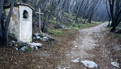 L’Homo viator e l’esperienza della lentezza